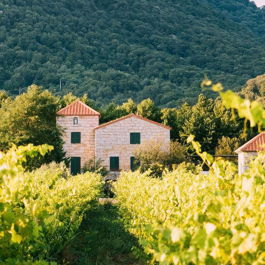 Villa-Bastilicata-Grande